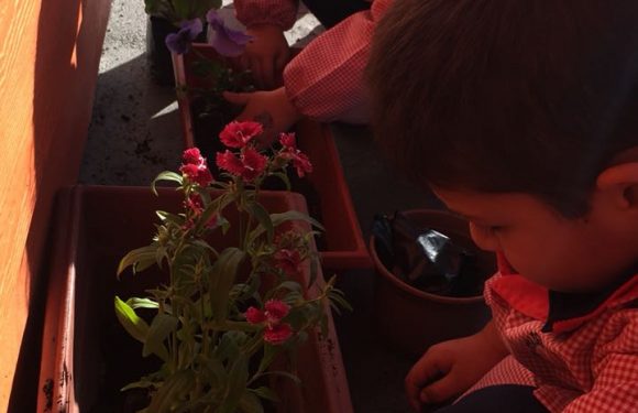 DÍA DE LA PACHAMAMA