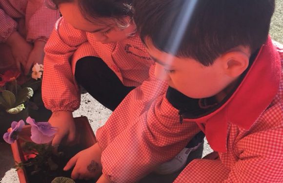 DÍA DE LA PACHAMAMA