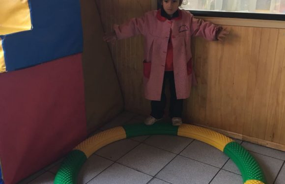 RECONOCIMIENTO COMSE SAN PEDRO . LOS ALUMNOS DISFRUTARON SUS OBSEQUIOS