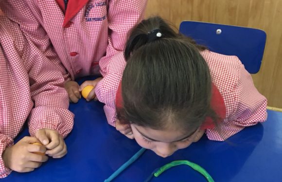 JUGANDO Y APRENDIENDO, CLASE DE KINDER