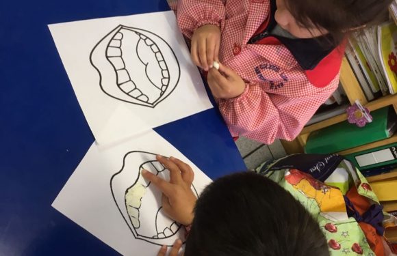 FORMANDO HÁBITOS DE AUTOCUIDADO. KINDER. EDUCADORA MARCELA ROMERO