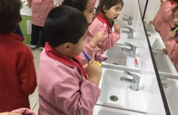 FORMANDO HÁBITOS DE AUTOCUIDADO. KINDER. EDUCADORA MARCELA ROMERO