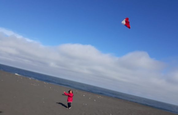 LOS ESTUDIANTES ELEVAN COMETAS. EN MES DE LA PATRIA