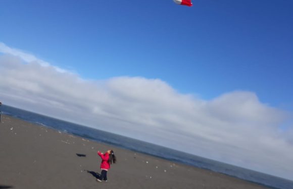 LOS ESTUDIANTES ELEVAN COMETAS. EN MES DE LA PATRIA