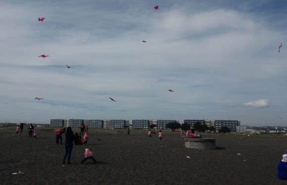 LOS ESTUDIANTES ELEVAN COMETAS. EN MES DE LA PATRIA