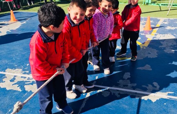 JUEGOS TÍPICOS COLEGIO LICAN RAY 2018