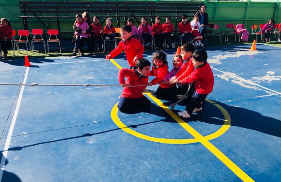 JUEGOS TÍPICOS COLEGIO LICAN RAY 2018