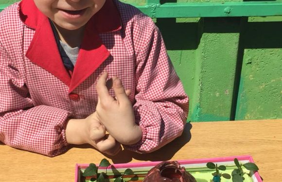 CONCURSO “PASEO POR LA CIENCIA”