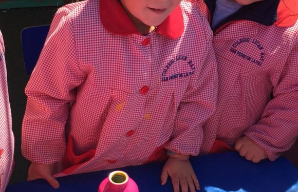 CONCURSO “PASEO POR LA CIENCIA”