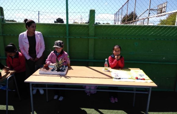 CONCURSO “PASEO POR LA CIENCIA”