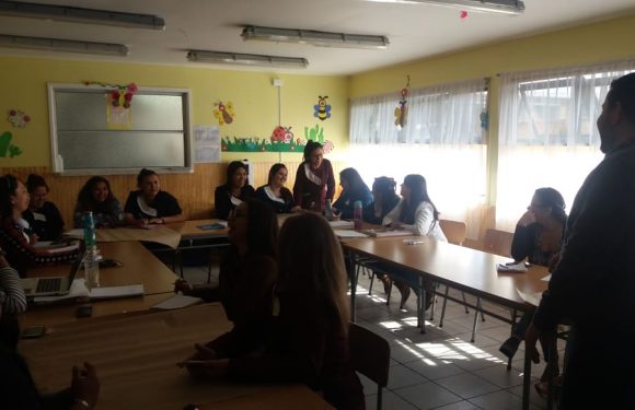 CAPACITACIÓN DOCENTE. CONVIVENCIA ESCOLAR Y PLANES NORMATIVOS .