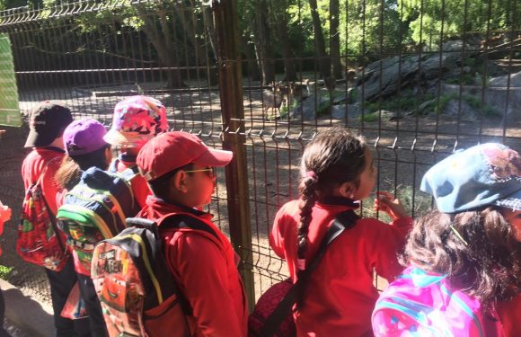 SALIDA PARQUE JORGE ALESSANDRI