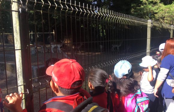 SALIDA PARQUE JORGE ALESSANDRI