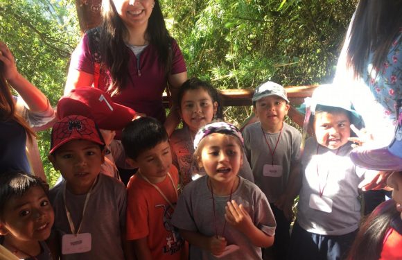 SALIDA PARQUE JORGE ALESSANDRI