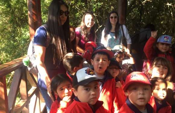 SALIDA PARQUE JORGE ALESSANDRI