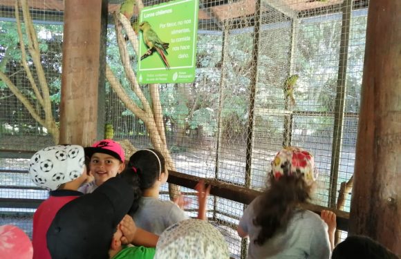 SALIDA PARQUE JORGE ALESSANDRI