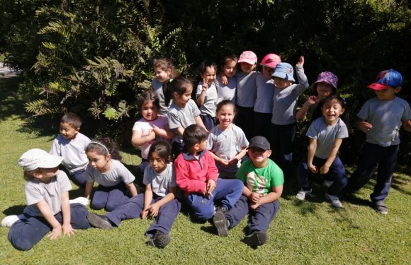 SALIDA PARQUE JORGE ALESSANDRI