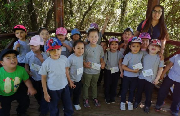 SALIDA PARQUE JORGE ALESSANDRI