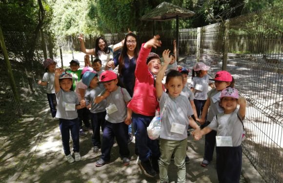 SALIDA PARQUE JORGE ALESSANDRI