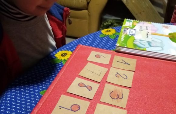 CLASES A DISTANCIA , NUEVOS ESCENARIOS PARA APRENDER