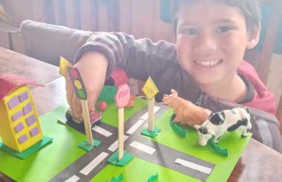 CLASES A DISTANCIA , NUEVOS ESCENARIOS PARA APRENDER