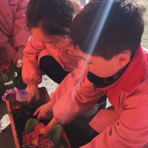 CELEBRACIÓN DEL DÍA DE LA PACHAMAMA