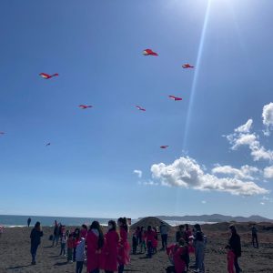 Actividad dieciochera “Elevemos cometas”