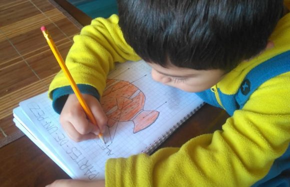 CLASES A DISTANCIA , NUEVOS ESCENARIOS PARA APRENDER