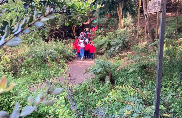 Salida pedagógica al “Parque Alessandri”