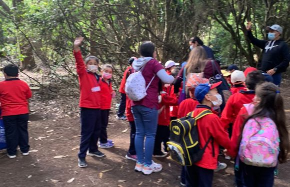 Salida pedagógica al “Parque Alessandri”