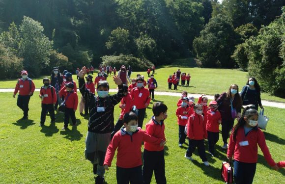 Salida pedagógica al “Parque Alessandri”