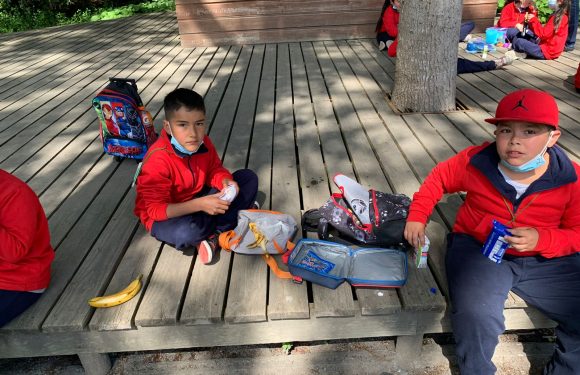 Salida pedagógica al “Parque Alessandri”