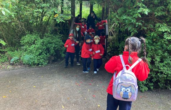 Salida pedagógica al “Parque Alessandri”