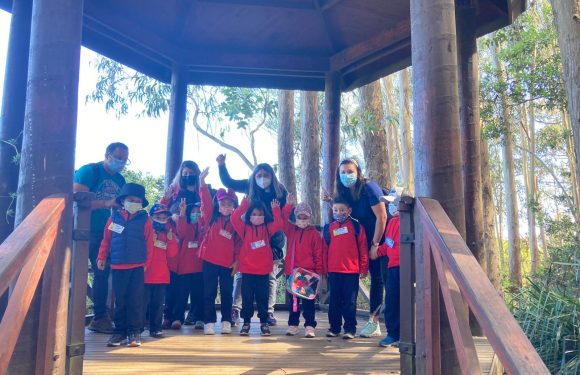 Salida pedagógica al “Parque Alessandri”