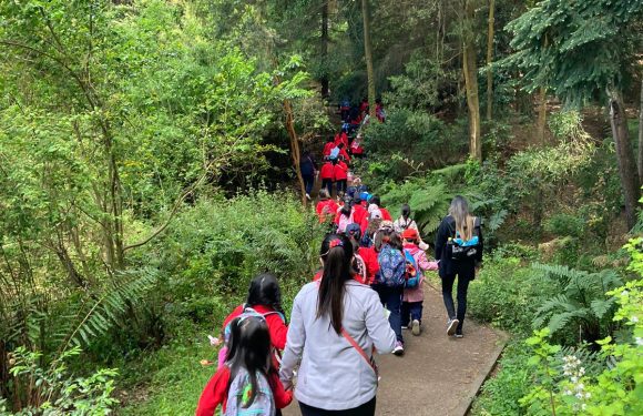 Salida pedagógica al “Parque Alessandri”