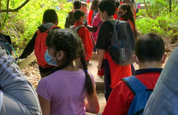 Salida pedagógica al “Parque Alessandri”