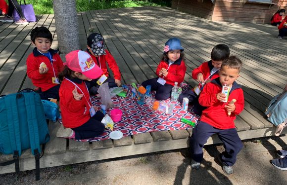 Salida pedagógica al “Parque Alessandri”