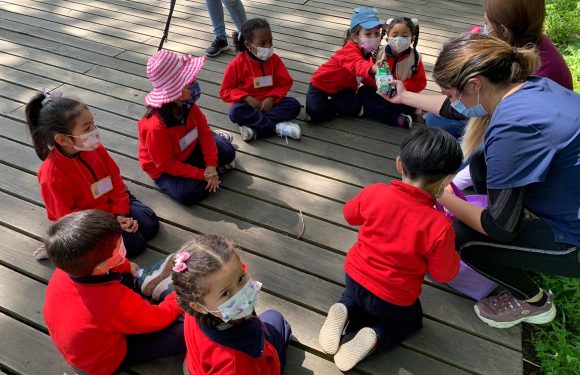 Salida pedagógica al “Parque Alessandri”