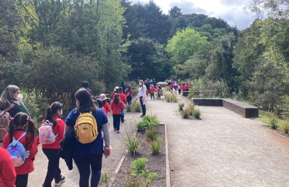 Salida pedagógica al “Parque Alessandri”