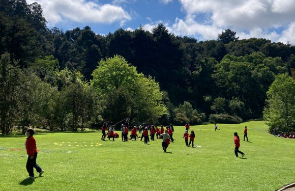 Salida pedagógica al “Parque Alessandri”