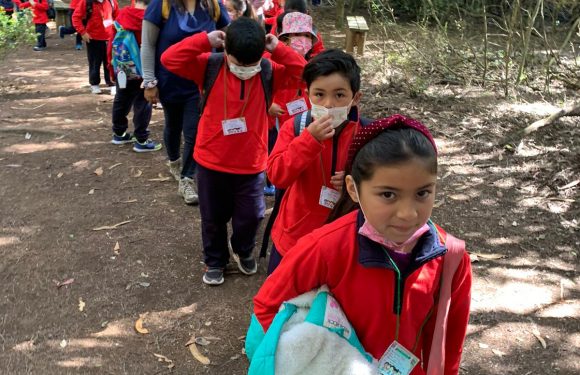 Salida pedagógica al “Parque Alessandri”