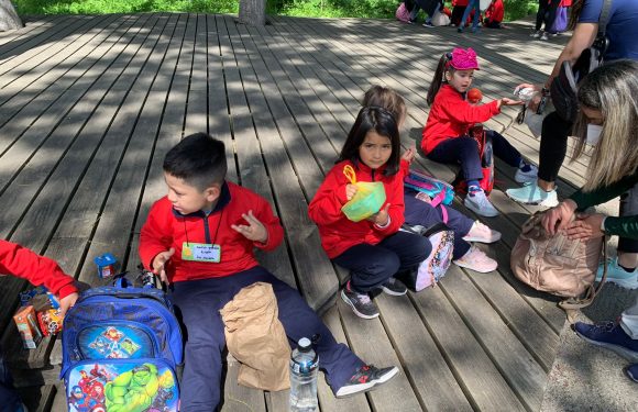 Salida pedagógica al “Parque Alessandri”