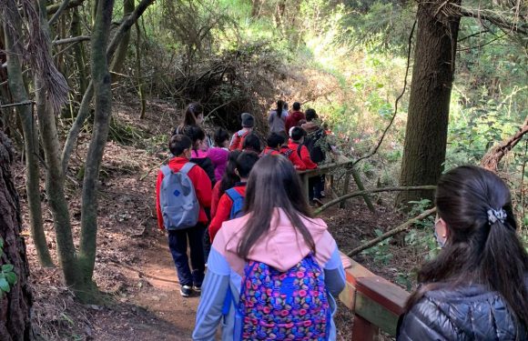 Salida pedagógica al “Parque Alessandri”