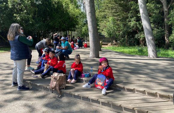 Salida pedagógica al “Parque Alessandri”