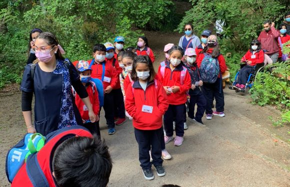 Salida pedagógica al “Parque Alessandri”