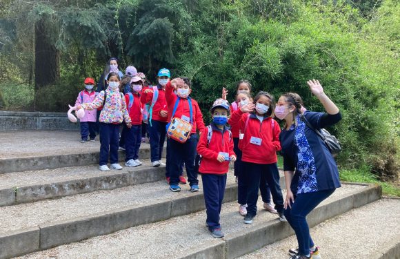 Salida pedagógica al “Parque Alessandri”