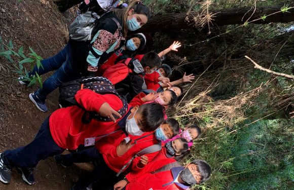 Salida pedagógica al “Parque Alessandri”