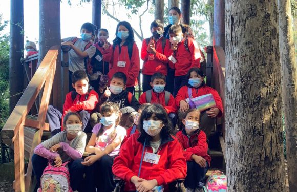 Salida pedagógica al “Parque Alessandri”