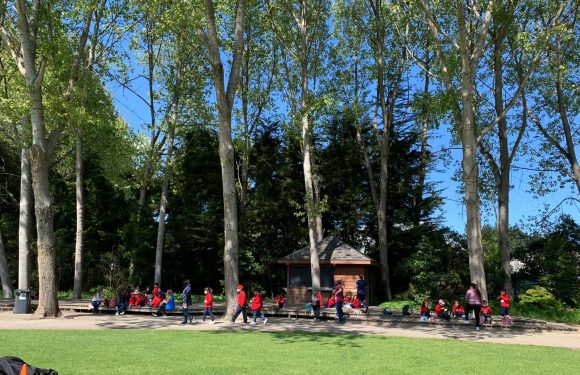 Salida pedagógica al “Parque Alessandri”