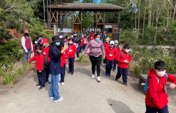 Salida pedagógica al “Parque Alessandri”
